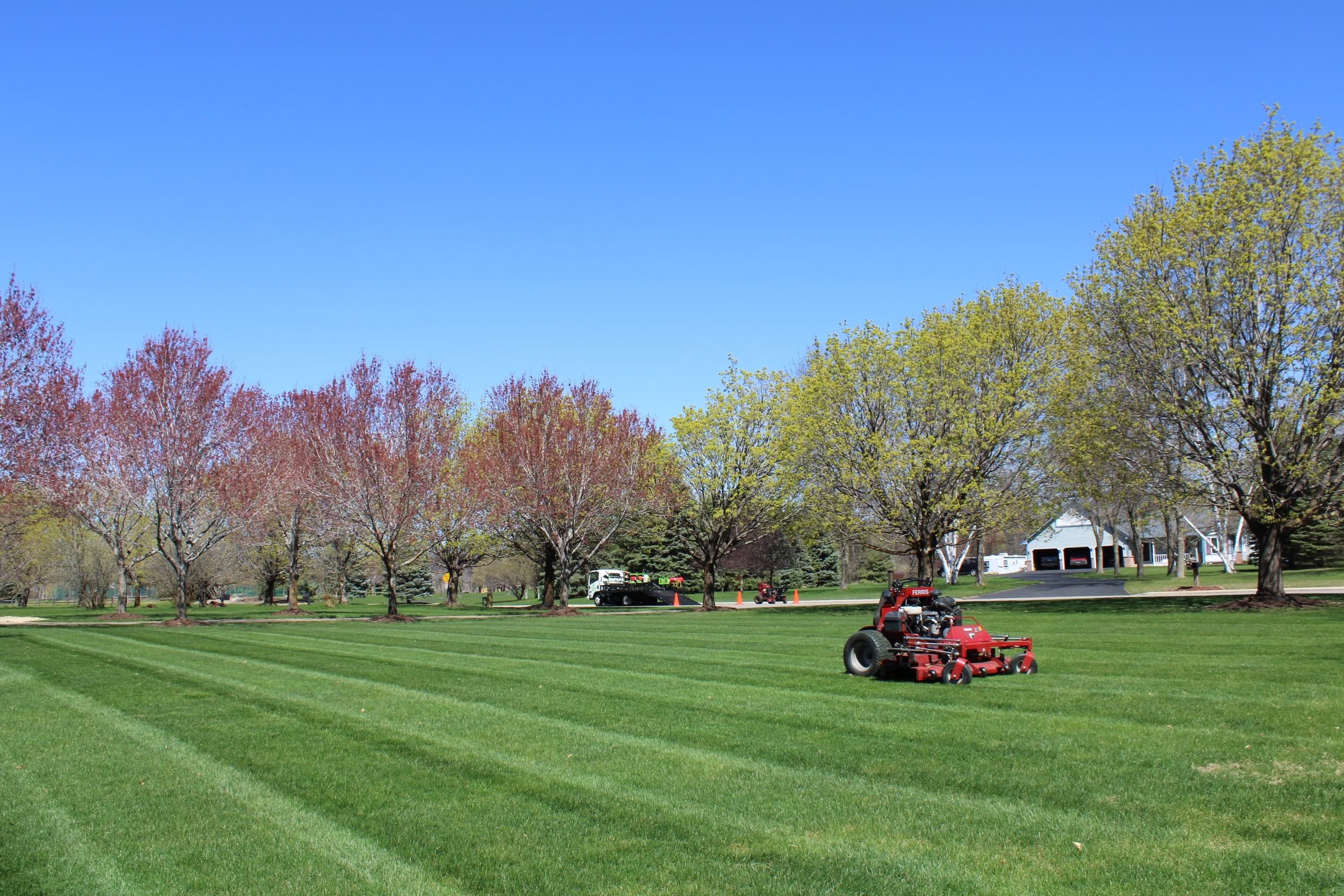 Beautiful lawn and landscape
