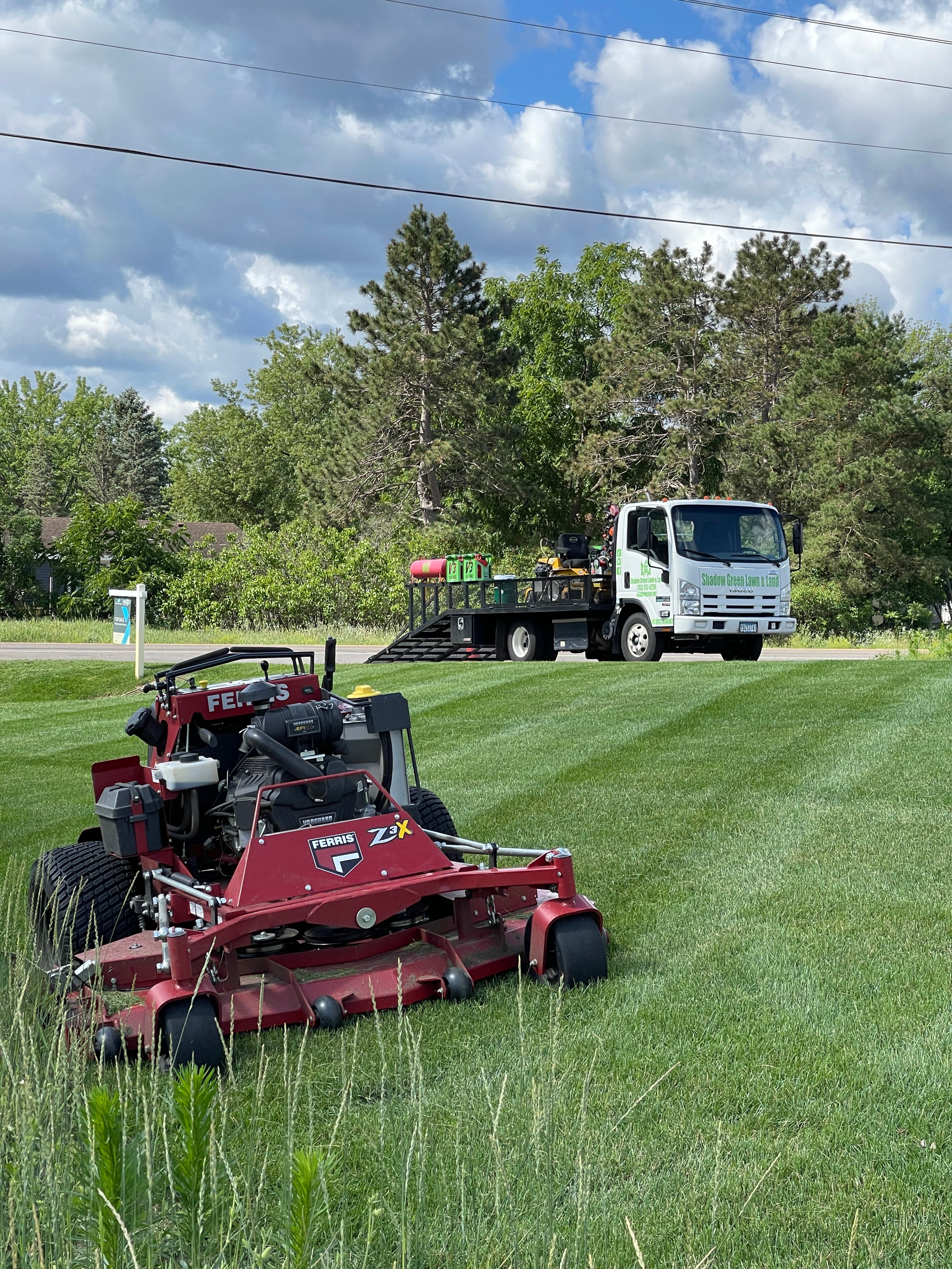 Shadow Green project 2 of 12