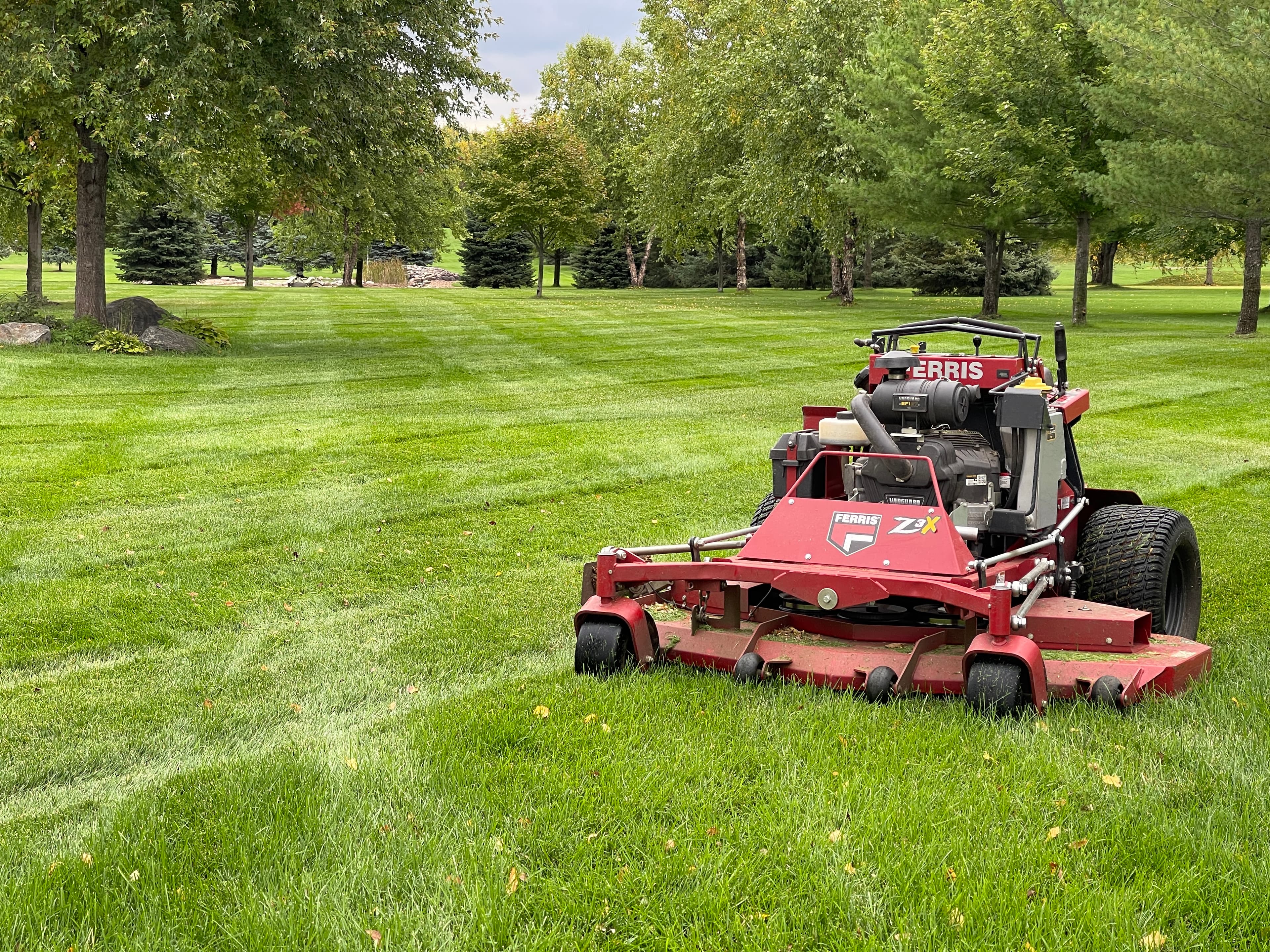Shadow Green project 3 of 12