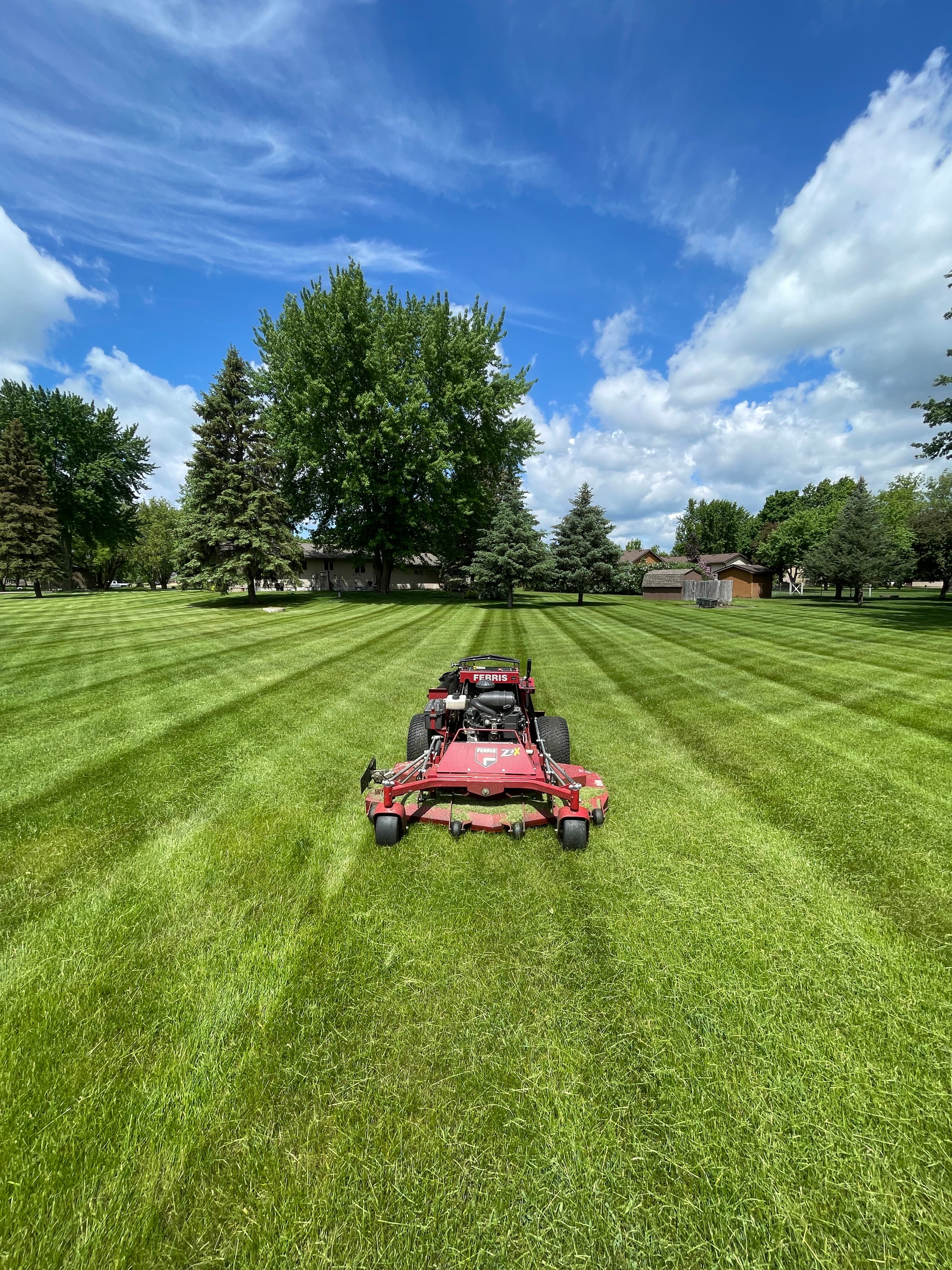 Shadow Green project 4 of 12