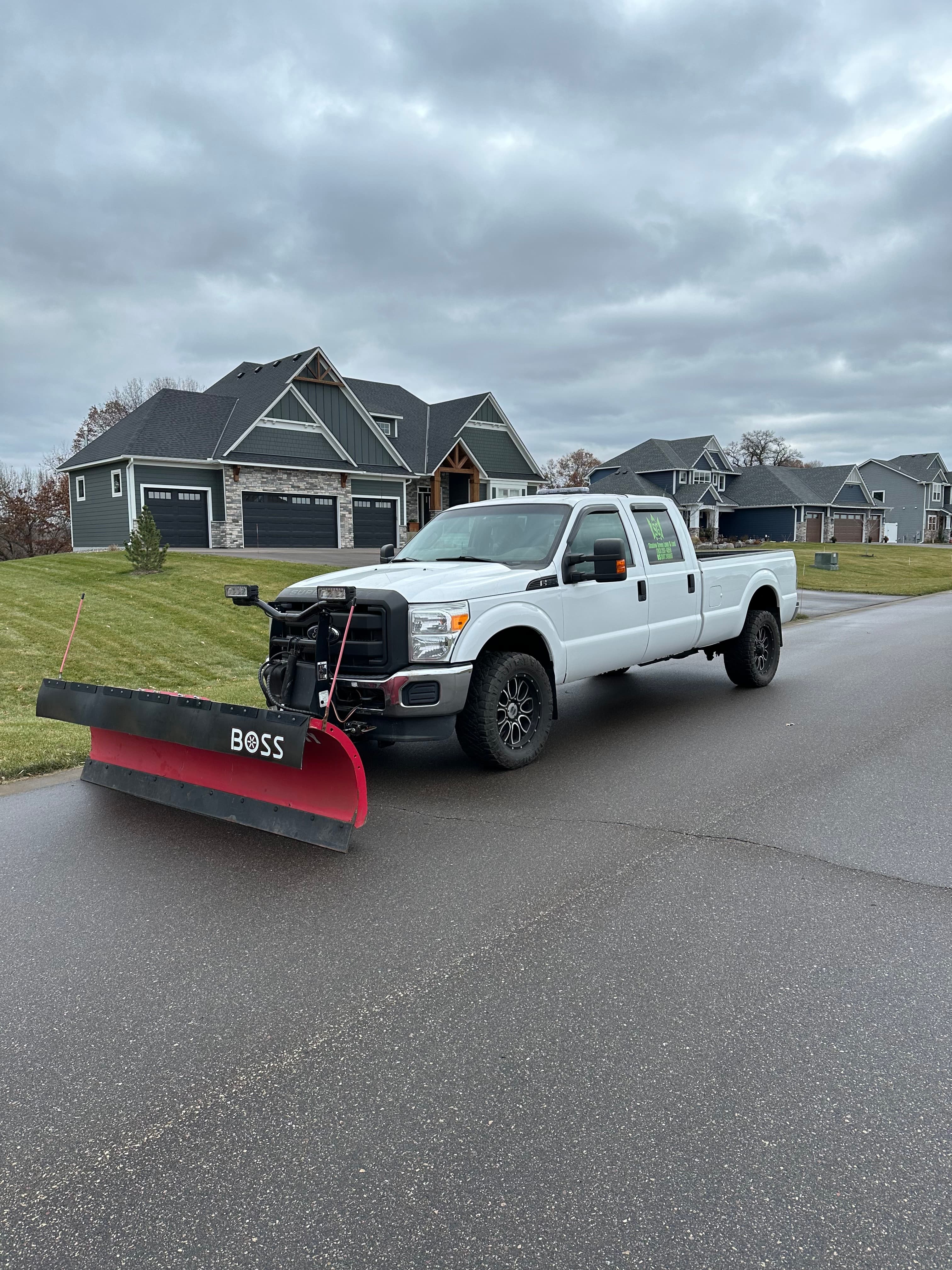 Shadow Green project 8 of 12