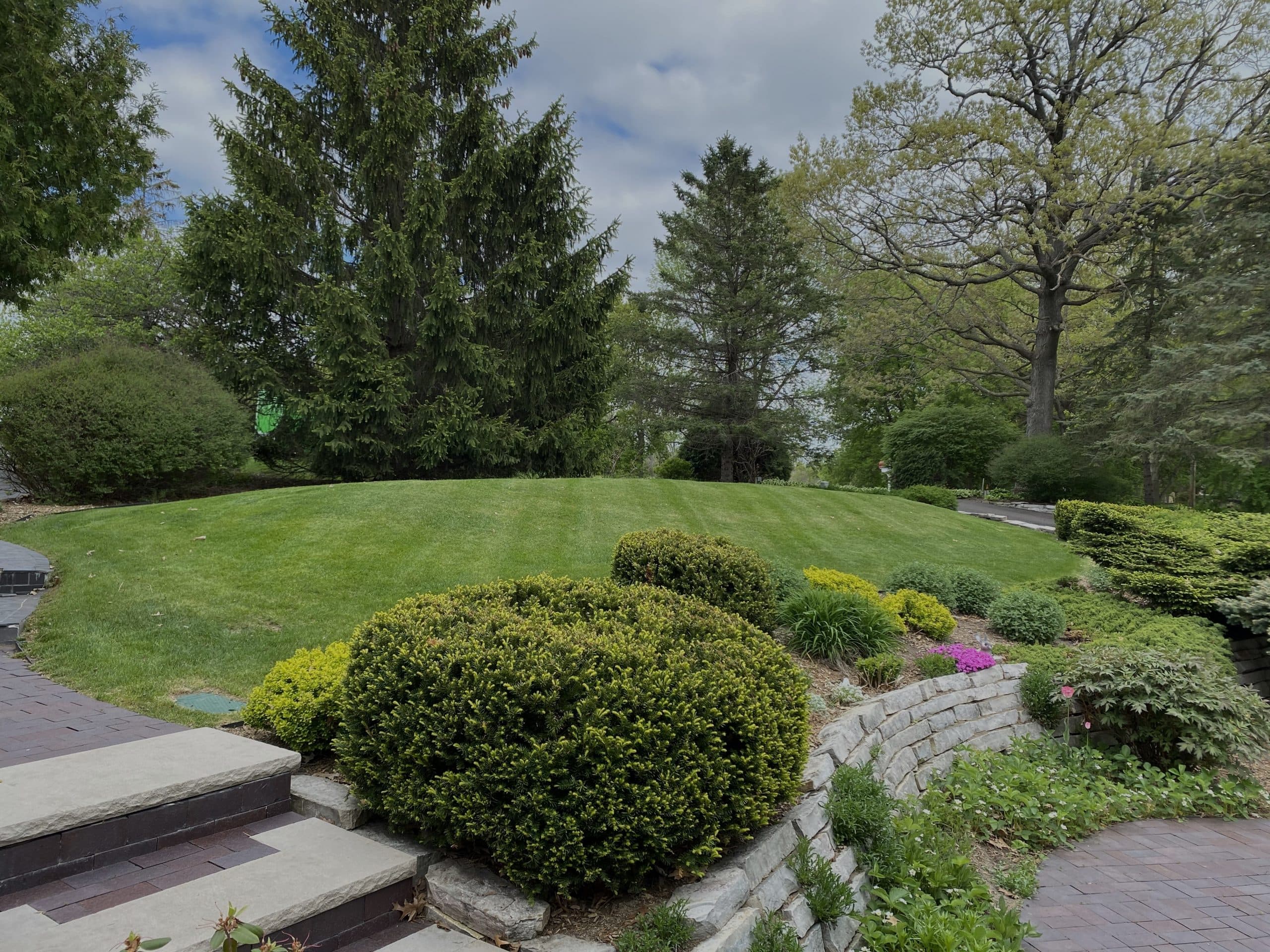 Hedge & Shrub Trimming